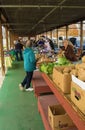 Shoppers at the Historic Salem Farmers Market Royalty Free Stock Photo